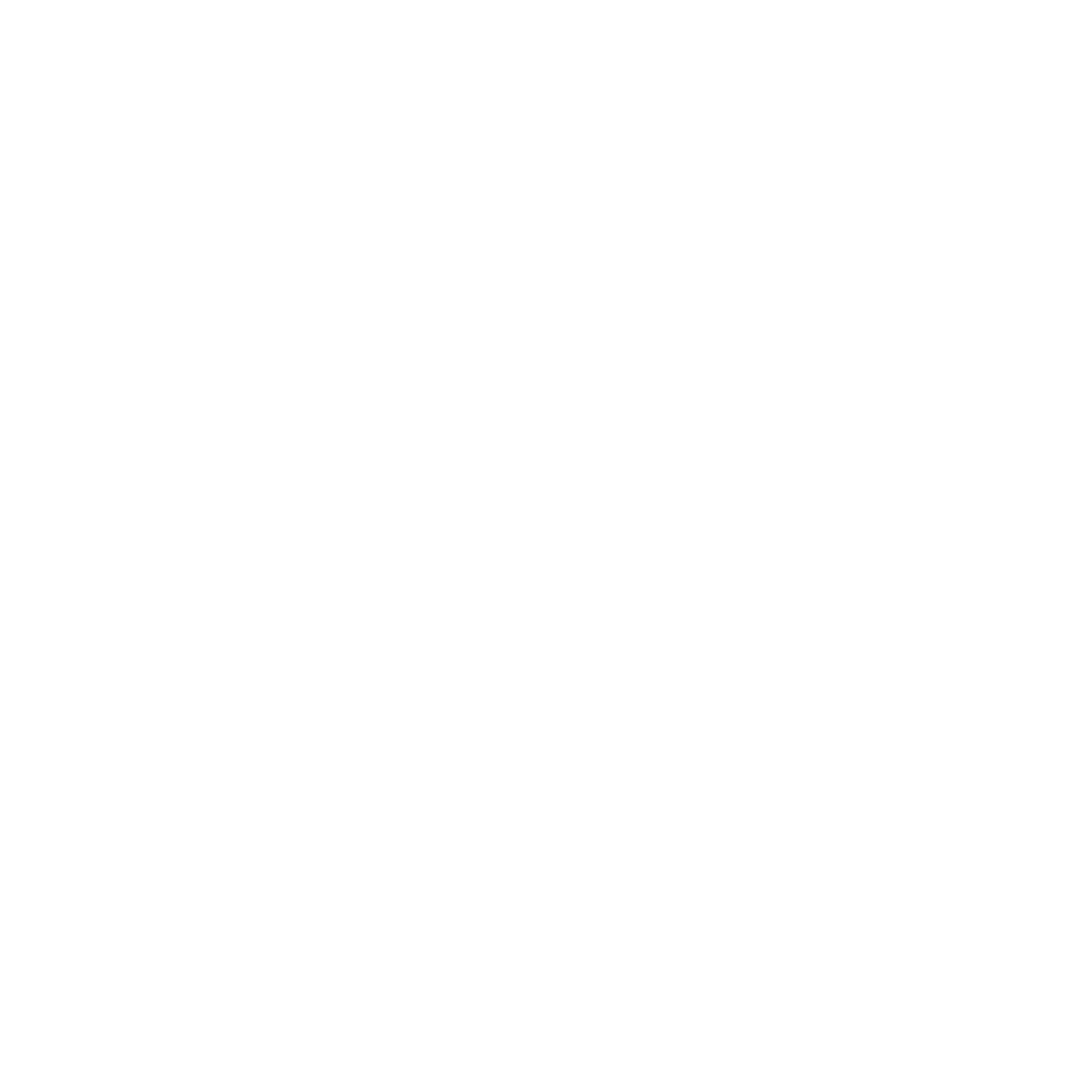 LorenzoStefanello - Logo - Transparent